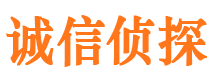 赵县市侦探公司